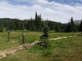 #2: Helm Creek Campground (near Confluence) looking North