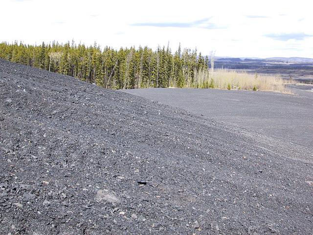View north from the confluence site on a pile of coaly shale