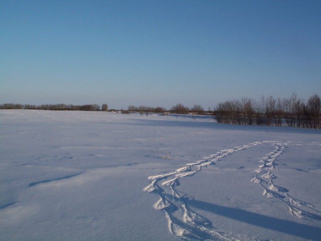 View to the East with Snowshoe Tracks Leading to Confluence