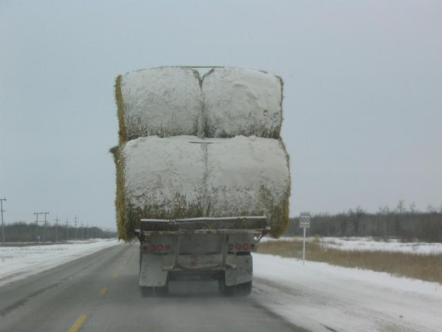 Truck Full of Frosted Shreddies heading North on Manitoba Highway 6