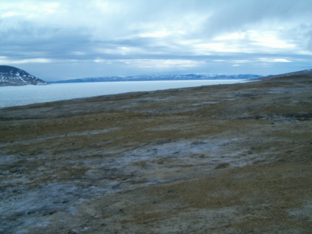 Looking west along Slidre Fiord towards Axel Heiberg Island