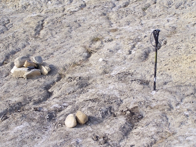 Walking pole marks the spot measured by my GPS.  Rock cairn represents point found by earlier visitor.