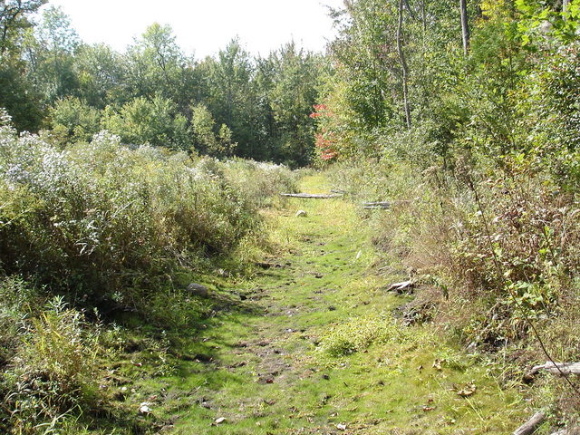 Trail near confluence