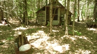 #9: 09 old cabin