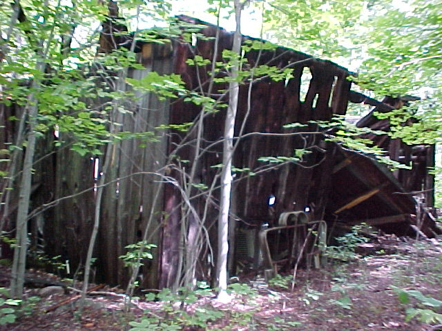 The Moonshine shack