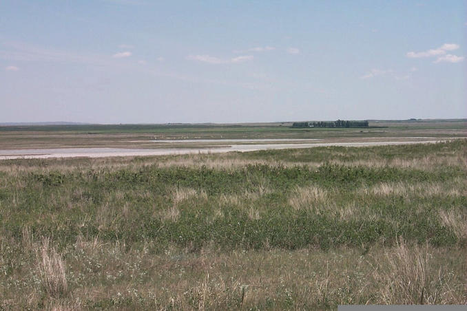 Looking east.  Dried up small lake bed showing white saline residue can be seen.
