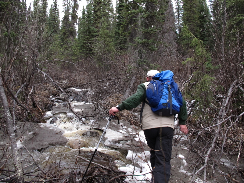 hiking conditions in the taiga