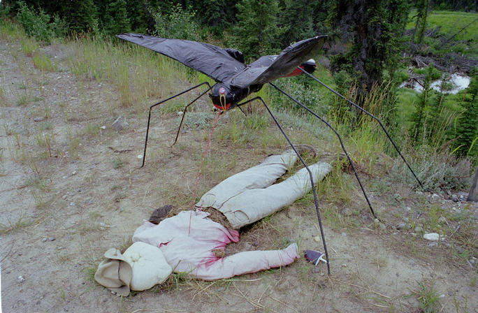 Yukon - Land of the Mosquitos