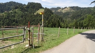 #7: Gate to the trail