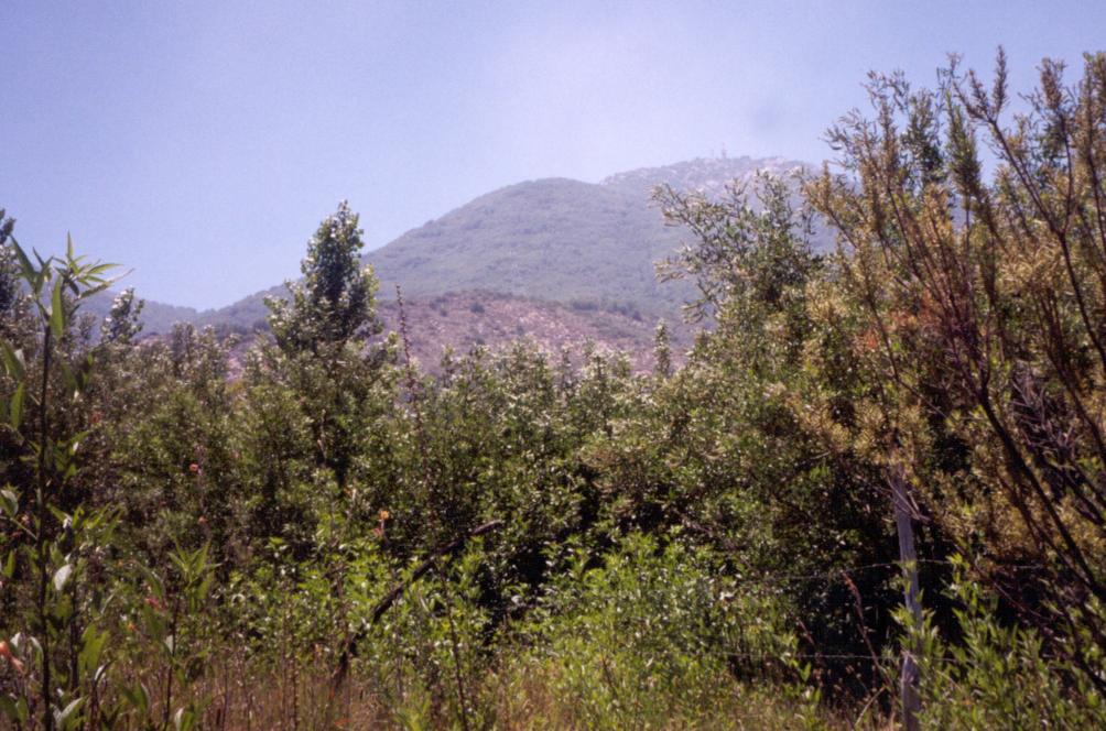 The peak of Cerro El Roble seen from the Confluence