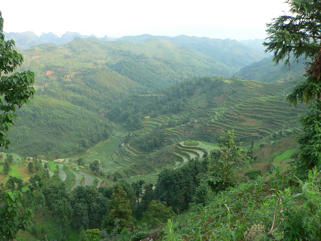 Terraced rice paddies in the valley below Gélì.