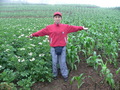#5: Ah Feng standing between fields of potatoes and corn.