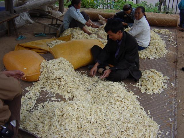 Sorting and bagging chips of dried bamboo shoots in Niankeng Village