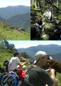 #2: Simon with the horses; Chris and Simon through the forest trail; Peter and Simon taking a break in the sun.