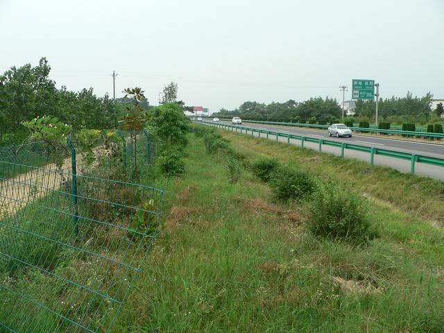 Dirt road next to freeway, confluence 3.7 kilometres south.