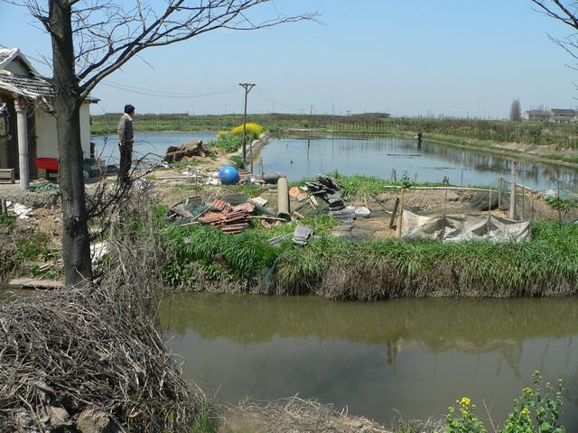 Facing north, looking over the small canal to the shrimp farm
