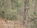 #2: North view