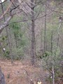 #3: East view