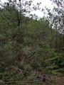 #4: West view