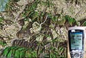 #6: The hiking track and our GPS