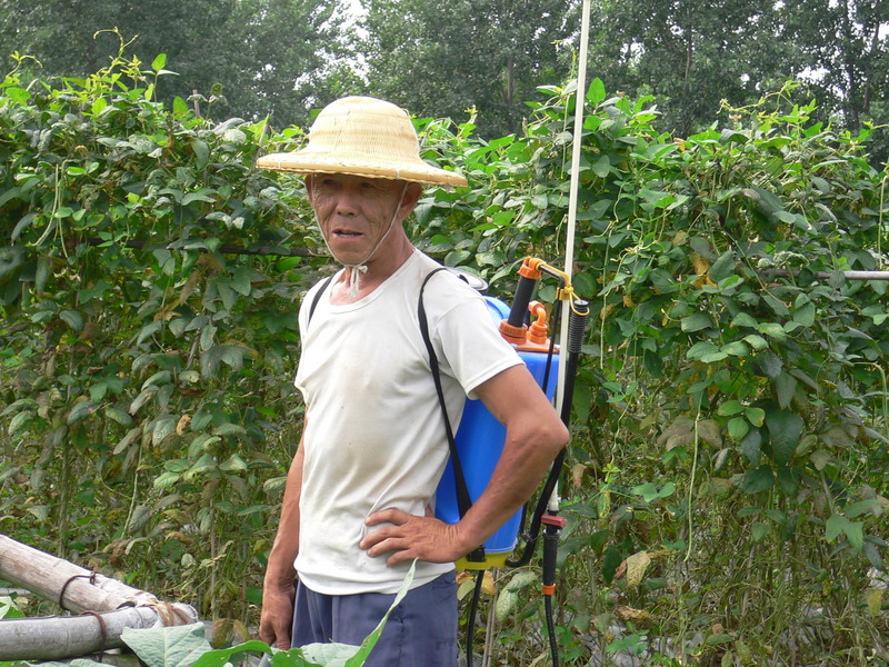 Farmer wearing a poison-spraying backpack