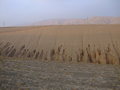 #3: View east from the CP