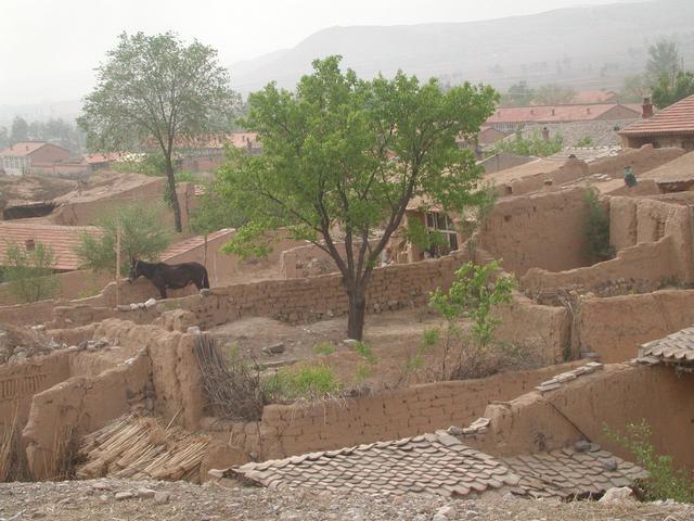 Some mud huts in the village near the confluence
