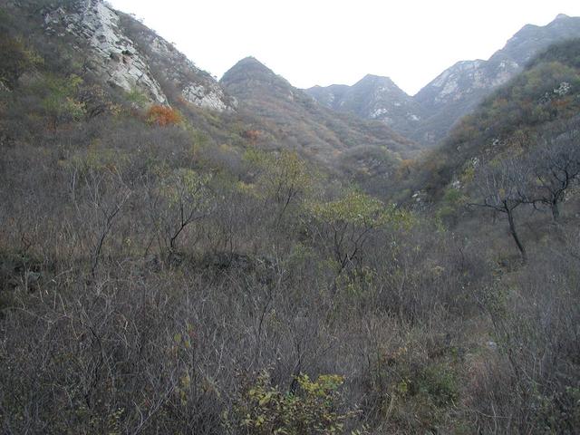 The valley which goes toward the confluence point which is located on the other side of the hill on the left