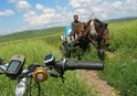 #5: Farmer with Cart coming by