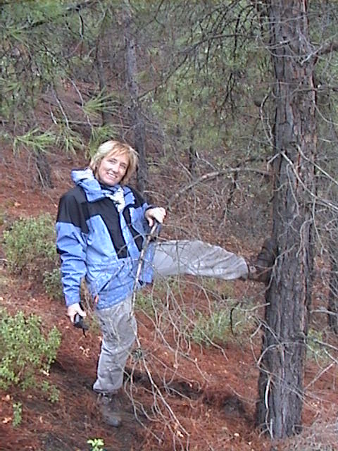 Lise on the spot, holding herself to a pine branch