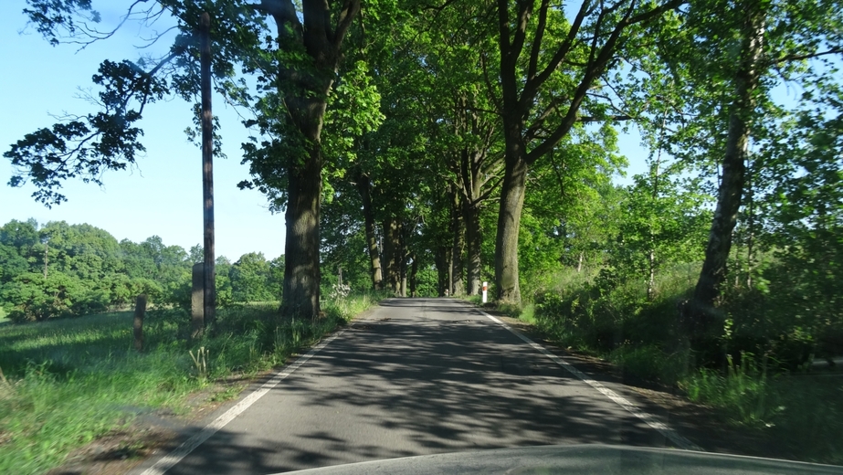 Typical road, on the way towards CP 51N 15E