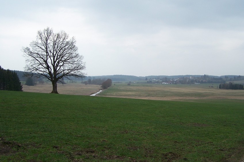 View towards Obermühlhausen (South), ca. 350 away from the confluence