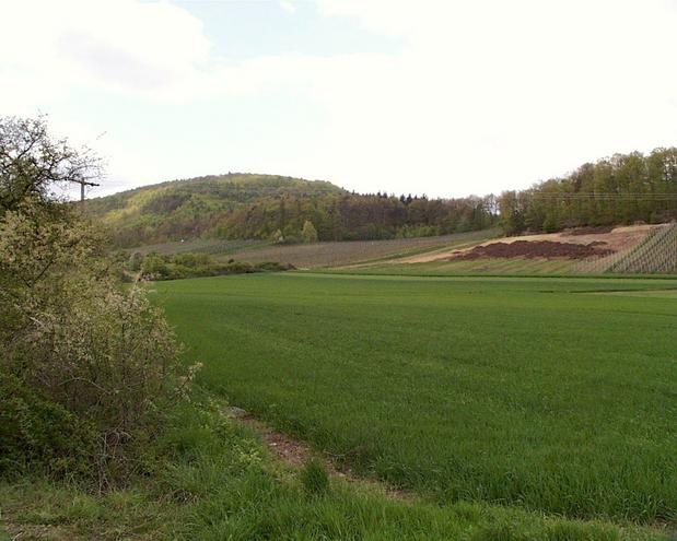 The hill on which the Confluence lies, seen from approx. 1 km towards NW