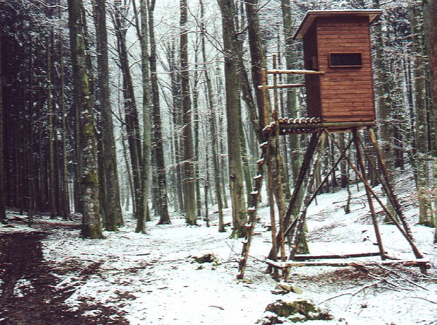 Hunting tower at the confluence
