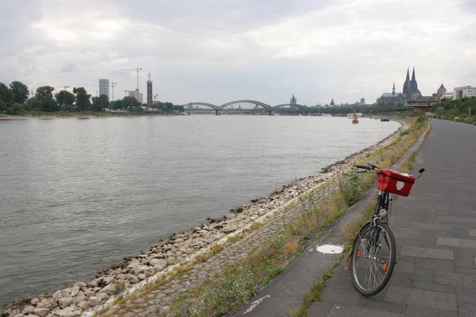 cycling along the river Rhein in Cologne