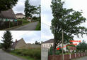 #5: Houses in Rossendorf with old oak tree