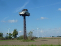 #8: The Trabant cum stork nest