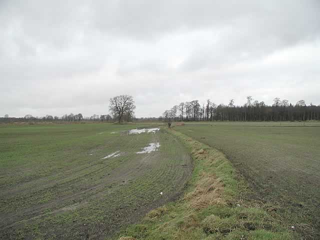 Typical german agricultural landscape... NORTH