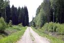 #5: Way to some hundred meters to confluence: Savisaare road.
