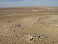 #9: Photo towards Confluence from camel caravan trails