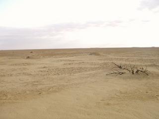 #1: Looking at 30N 27E from the edge of the sabkha 200 m away.