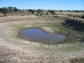 #6: The Water Hole