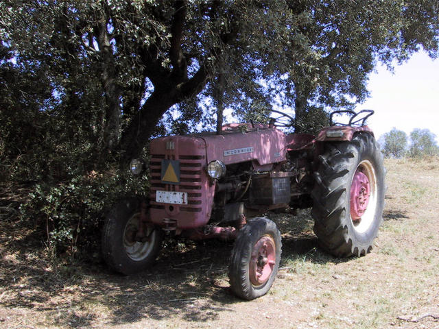 Old tractor parked at the edge of the field