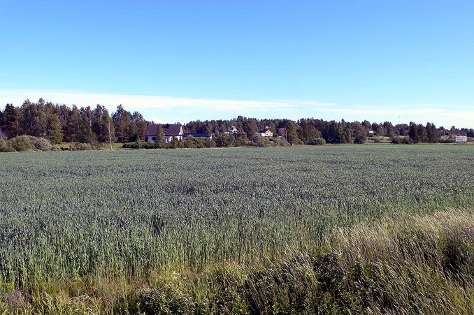 The exact spot is about 200 meters into this field.  This photo is looking directly south.