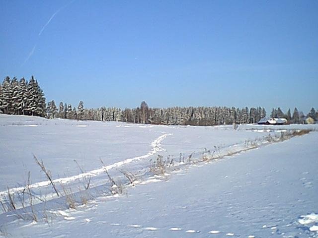 Confluence, northbound. The ditch (which almost swallowed us) divides the field.