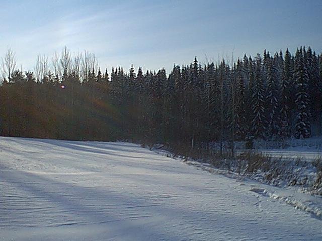 Southern sight. Is that a frozen pond, behind the bushes, far right?