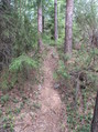 #4: A very narrow trail passes within 10 m of the point