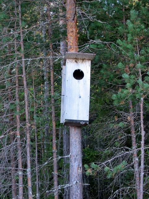 Bird house, the inhabitants have a stunning view to the lake.