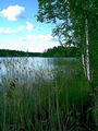 #6: The lakeside (Tallusjarvi lake) view near the confluence.
