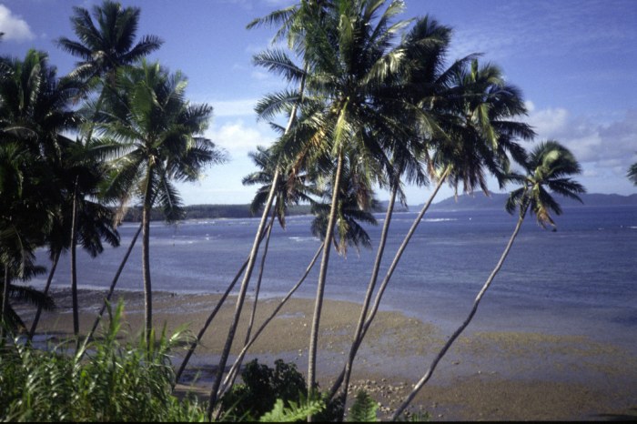 On the island of Taveuni
